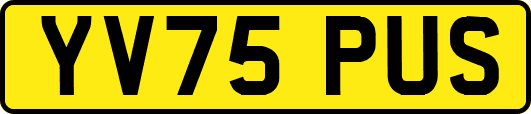 YV75PUS
