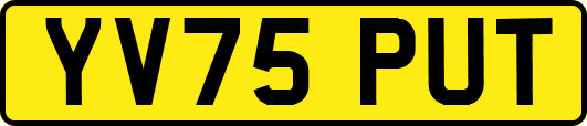 YV75PUT