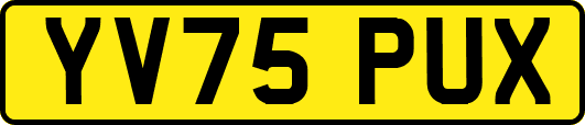 YV75PUX