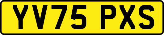 YV75PXS