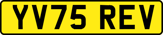 YV75REV