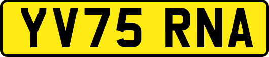 YV75RNA