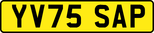 YV75SAP