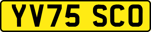 YV75SCO