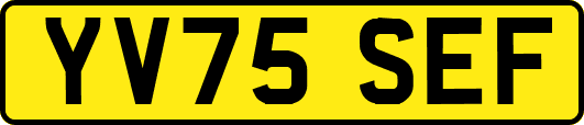YV75SEF