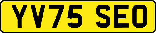 YV75SEO