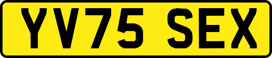 YV75SEX