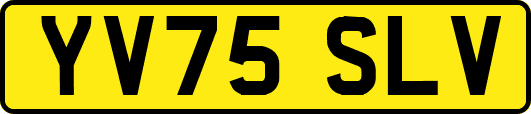 YV75SLV