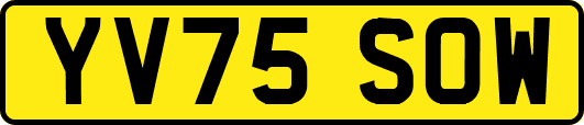 YV75SOW