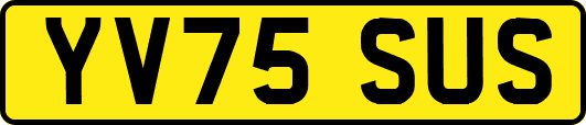 YV75SUS