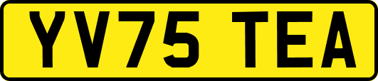 YV75TEA