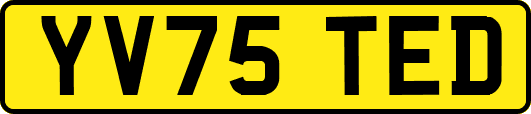 YV75TED