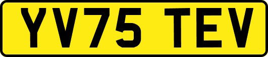 YV75TEV