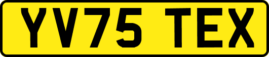 YV75TEX