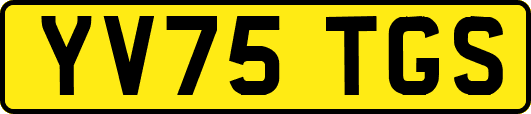 YV75TGS