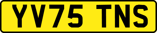 YV75TNS