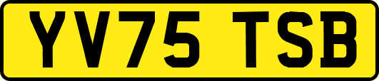 YV75TSB
