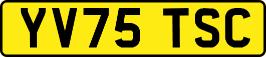 YV75TSC