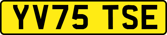 YV75TSE
