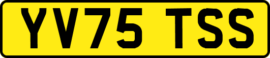 YV75TSS