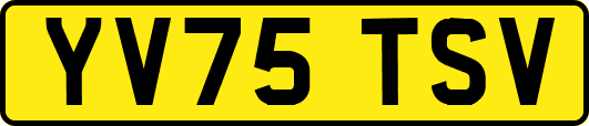 YV75TSV