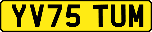 YV75TUM