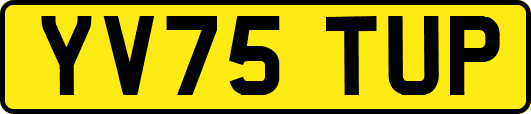 YV75TUP