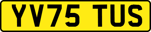 YV75TUS