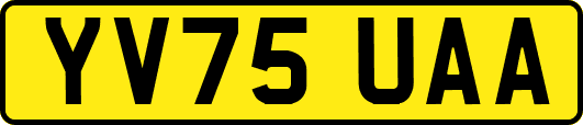YV75UAA