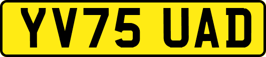 YV75UAD