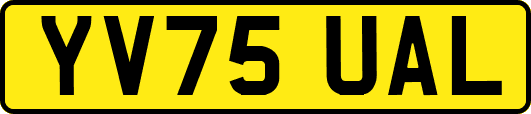 YV75UAL