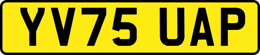 YV75UAP