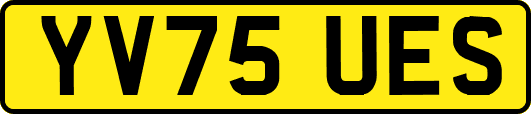 YV75UES