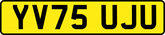 YV75UJU