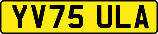 YV75ULA