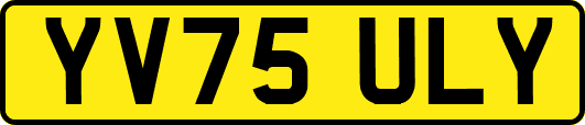 YV75ULY