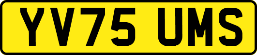 YV75UMS
