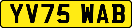 YV75WAB