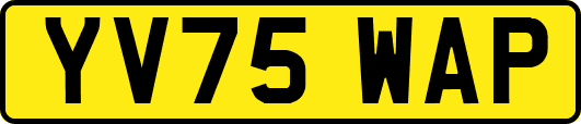 YV75WAP
