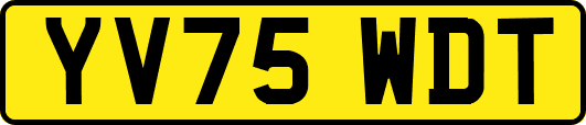 YV75WDT