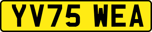 YV75WEA