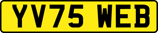 YV75WEB