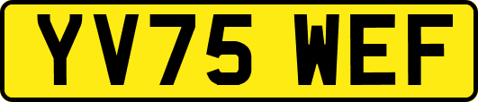 YV75WEF