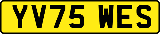 YV75WES