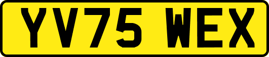 YV75WEX