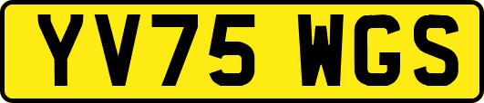 YV75WGS