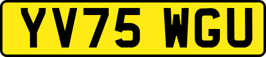 YV75WGU