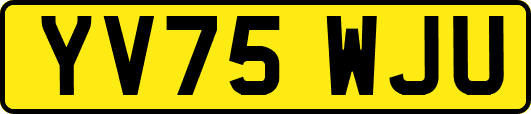YV75WJU