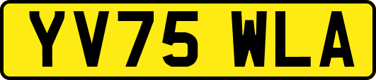 YV75WLA