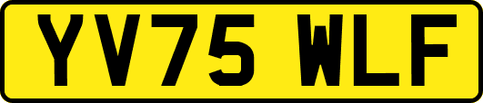 YV75WLF